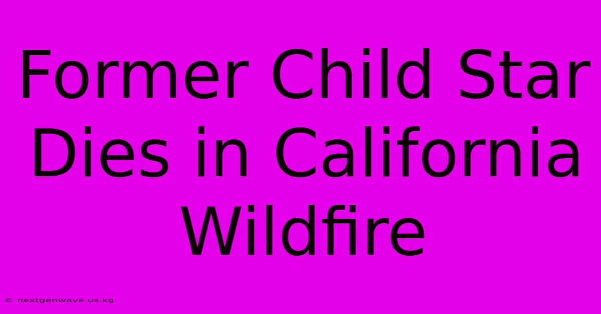 Former Child Star Dies In California Wildfire