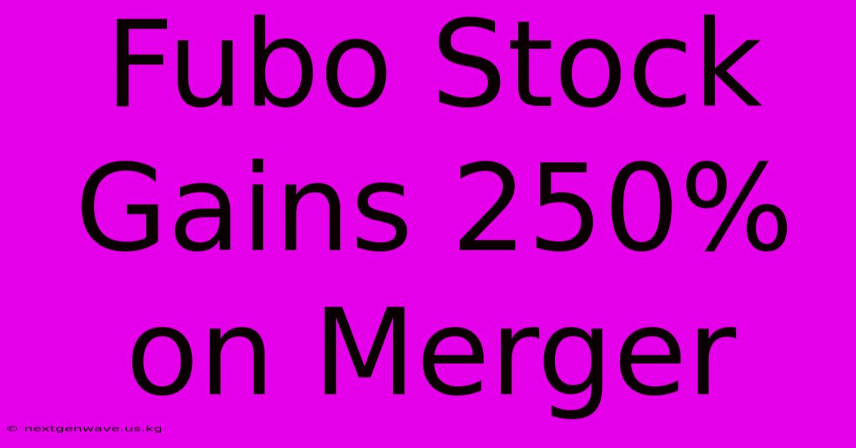 Fubo Stock Gains 250% On Merger