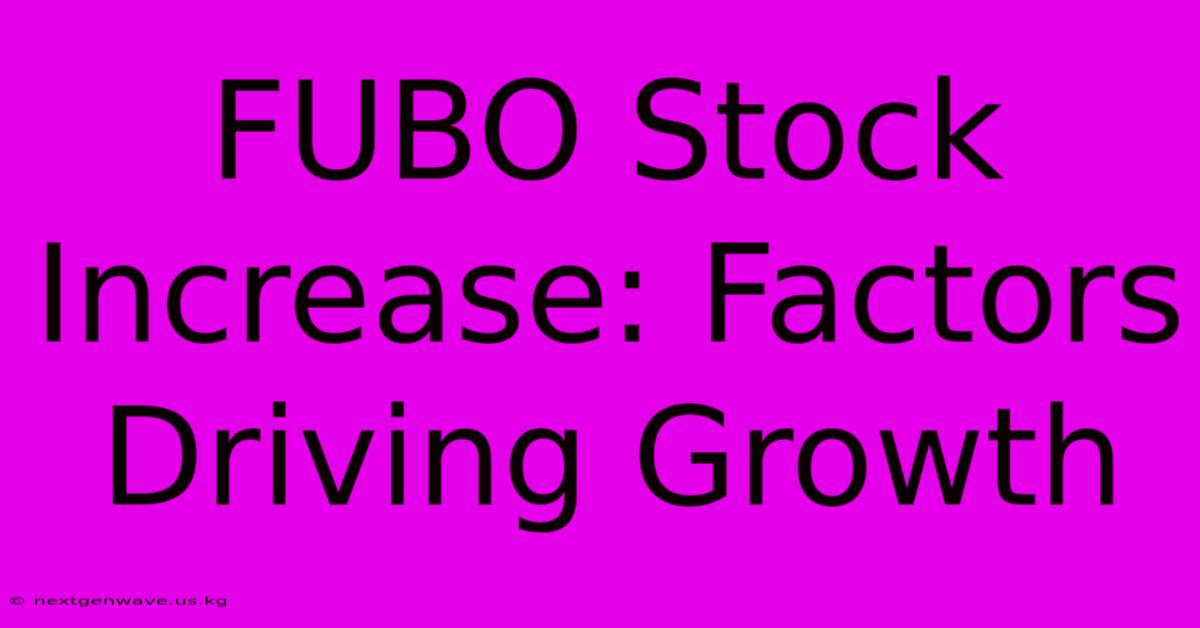 FUBO Stock Increase: Factors Driving Growth