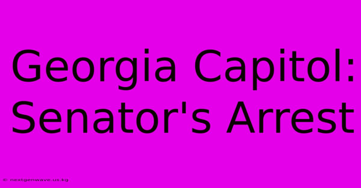 Georgia Capitol: Senator's Arrest