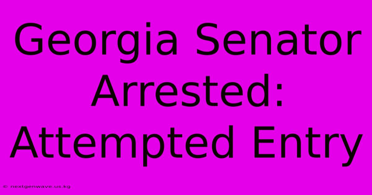 Georgia Senator Arrested: Attempted Entry