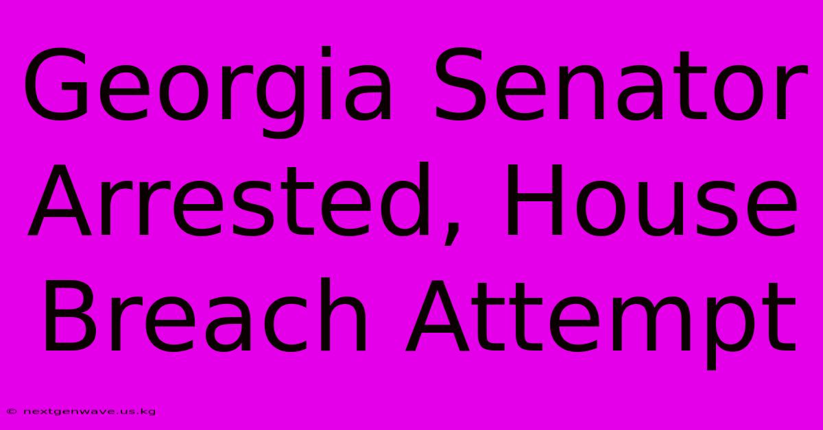 Georgia Senator Arrested, House Breach Attempt