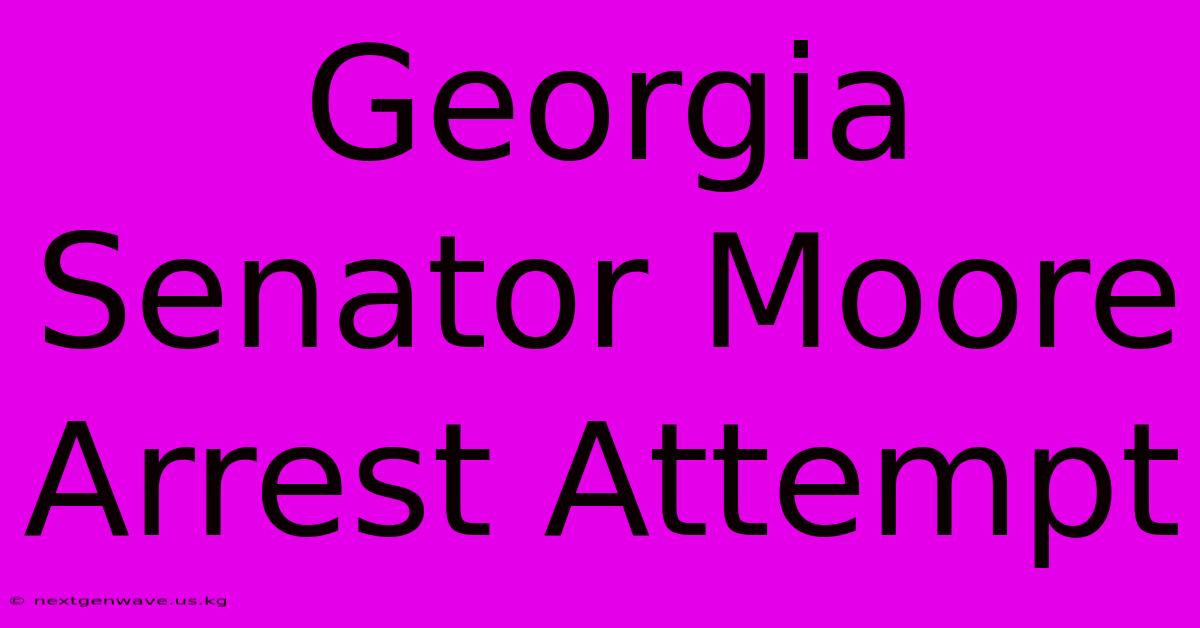 Georgia Senator Moore Arrest Attempt