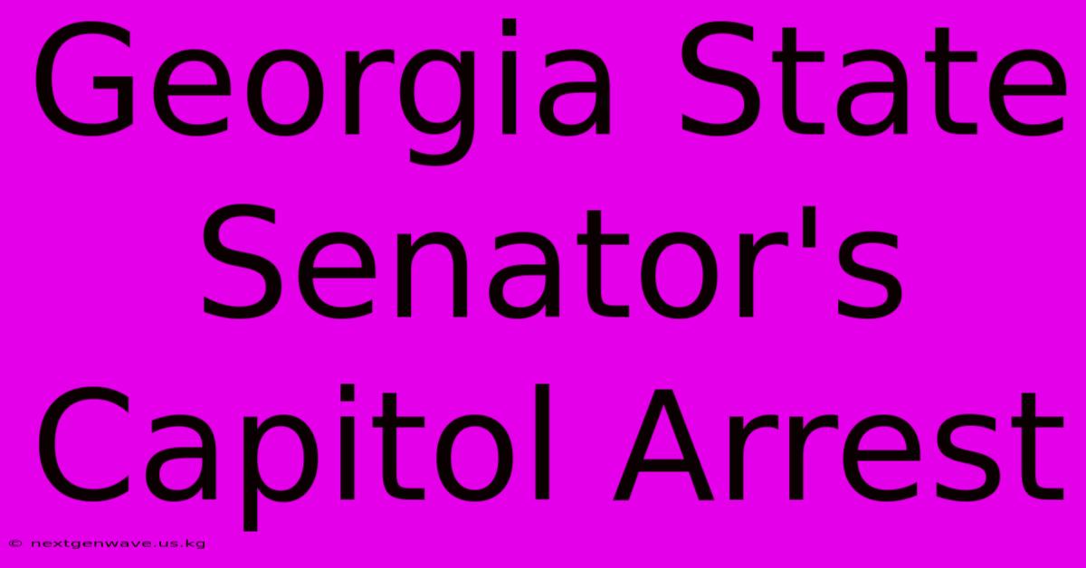 Georgia State Senator's Capitol Arrest