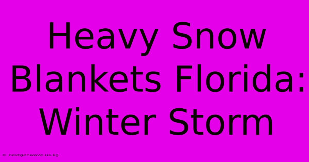 Heavy Snow Blankets Florida: Winter Storm