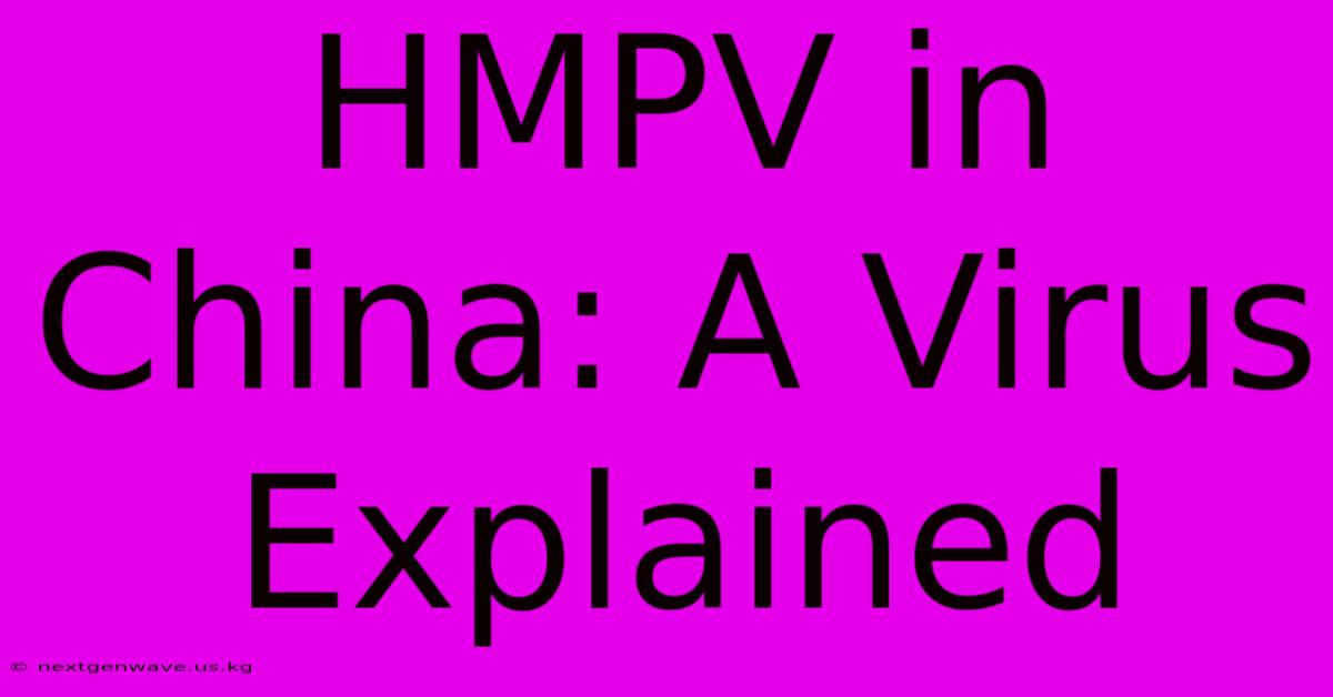 HMPV In China: A Virus Explained