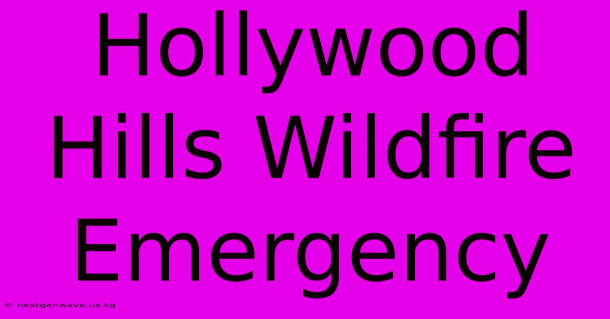 Hollywood Hills Wildfire Emergency