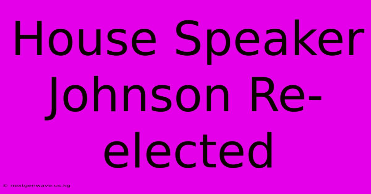 House Speaker Johnson Re-elected