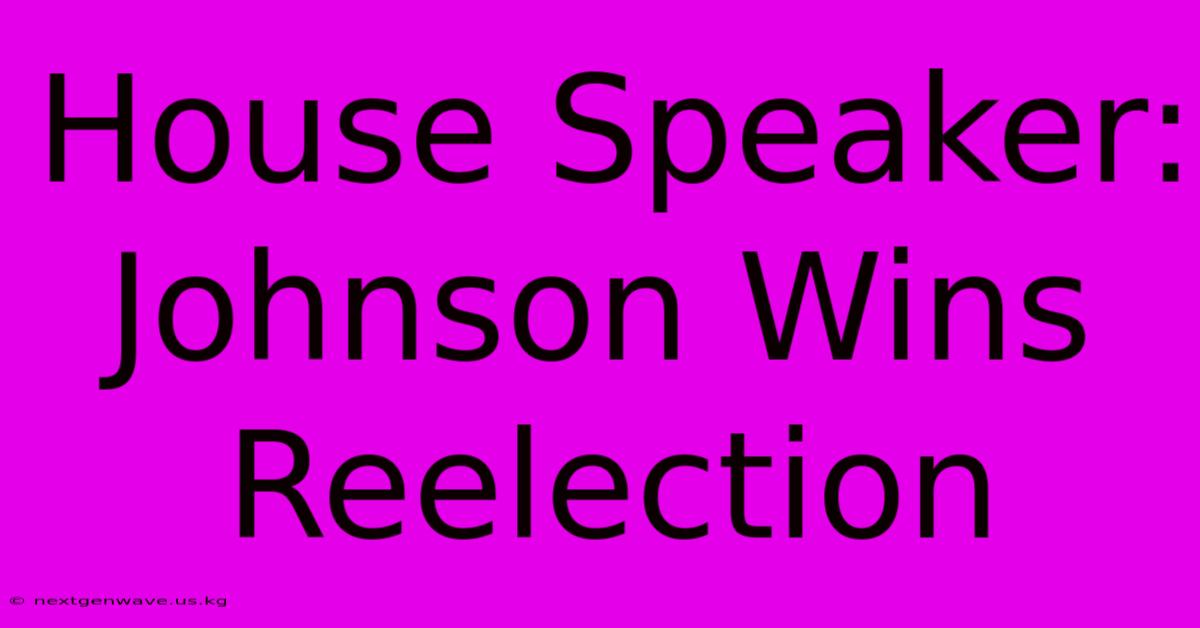 House Speaker: Johnson Wins Reelection