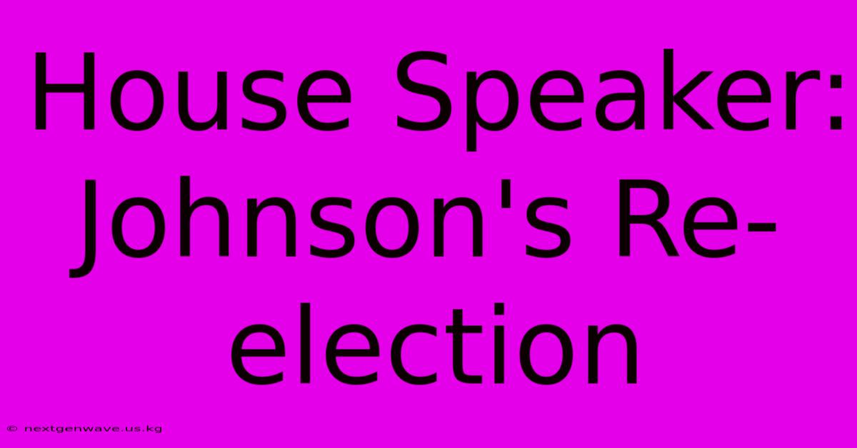 House Speaker: Johnson's Re-election