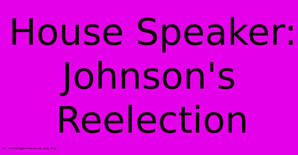 House Speaker: Johnson's Reelection