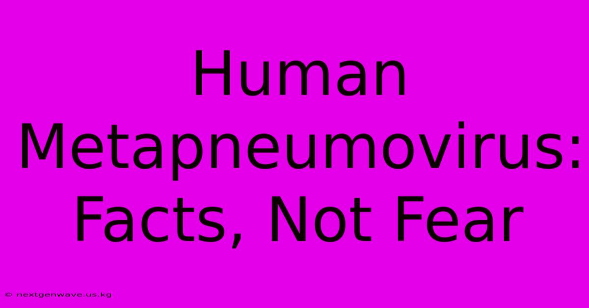 Human Metapneumovirus:  Facts, Not Fear