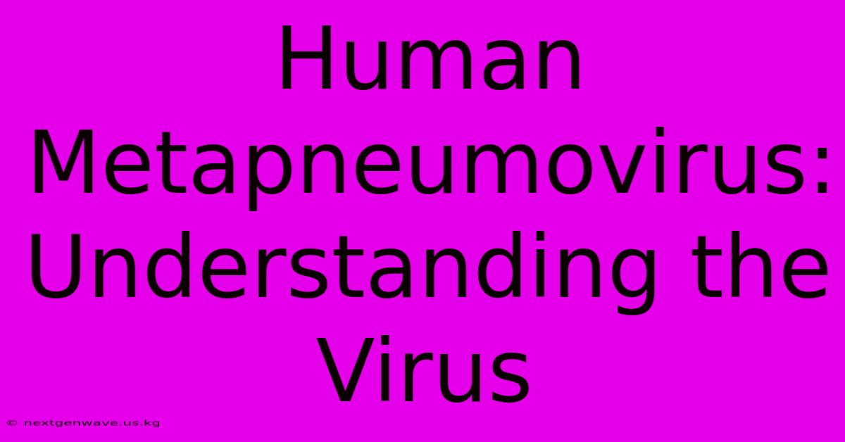 Human Metapneumovirus: Understanding The Virus