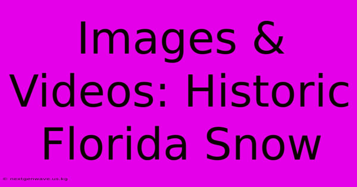 Images & Videos: Historic Florida Snow