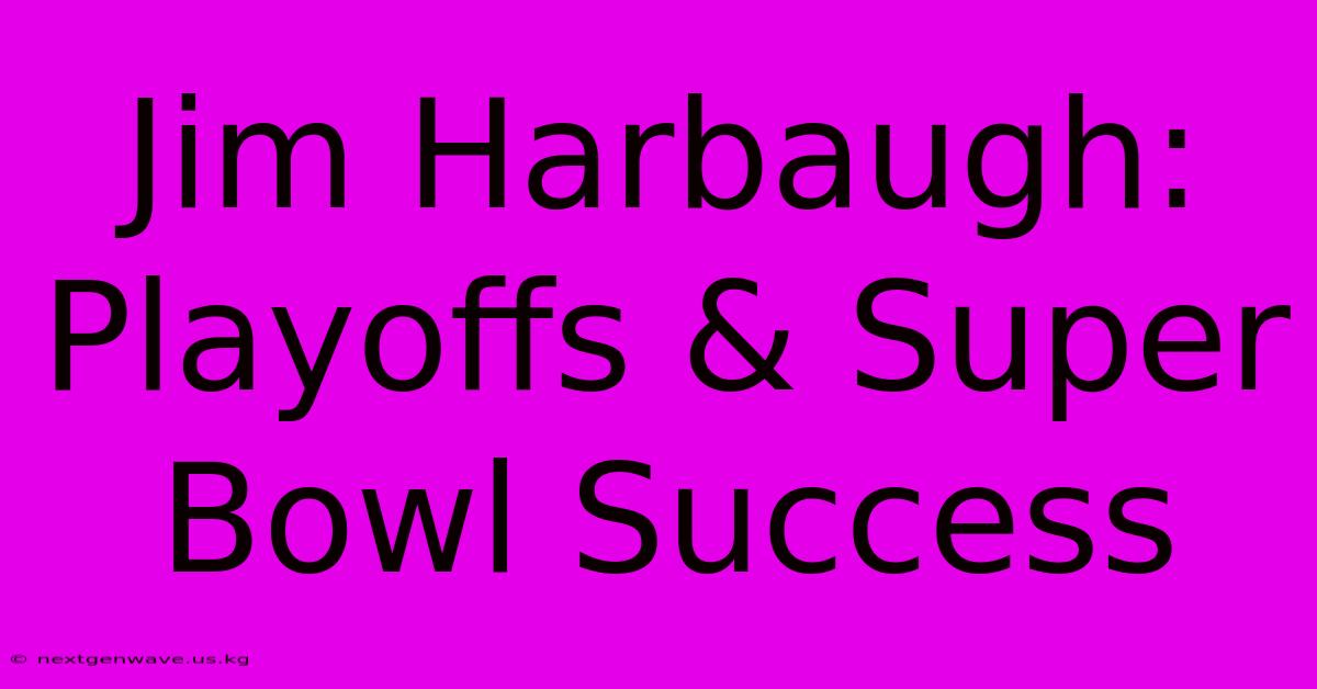 Jim Harbaugh: Playoffs & Super Bowl Success