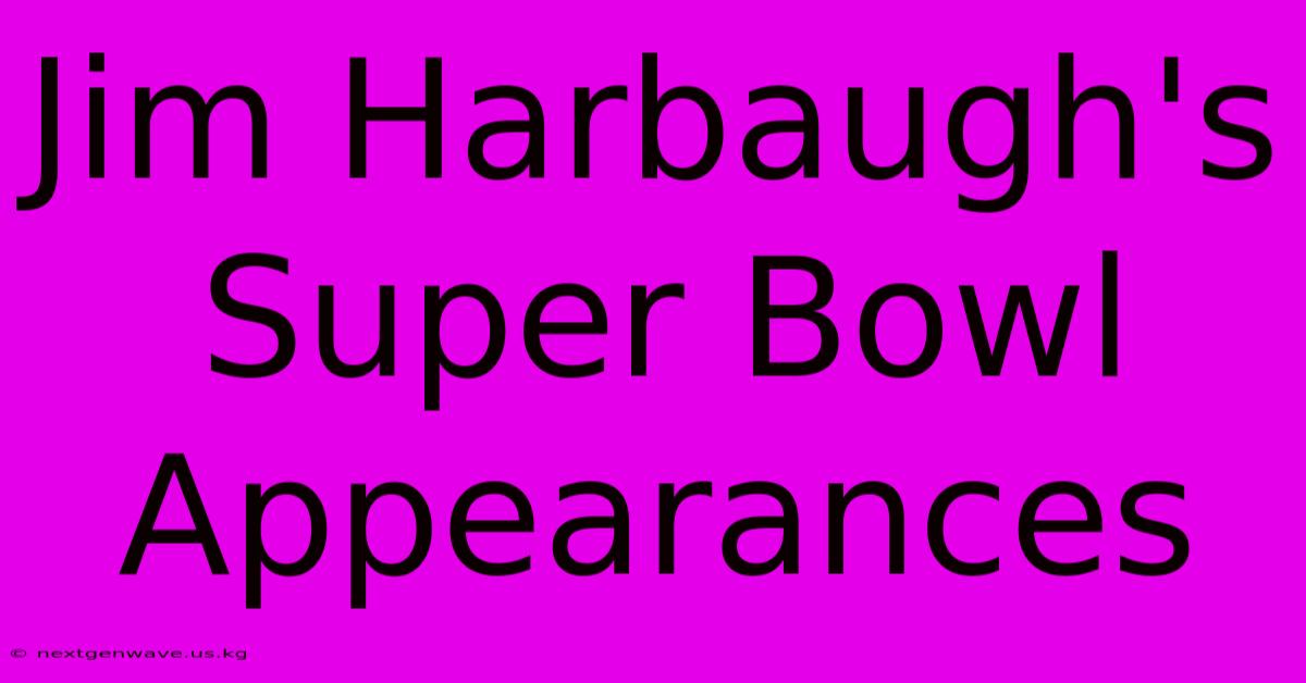 Jim Harbaugh's Super Bowl Appearances