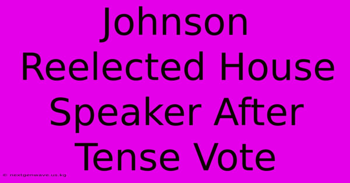 Johnson Reelected House Speaker After Tense Vote