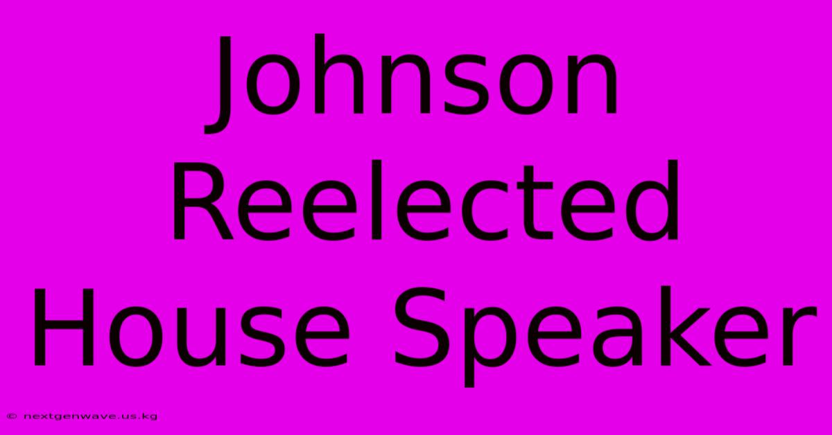 Johnson Reelected House Speaker