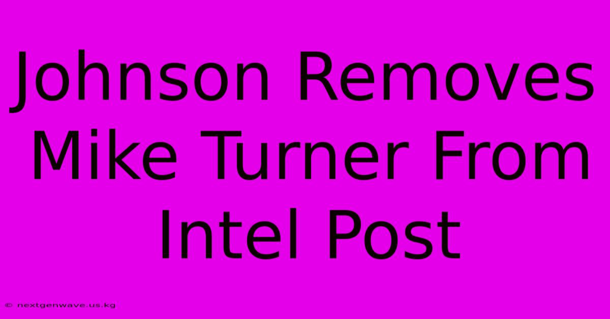 Johnson Removes Mike Turner From Intel Post