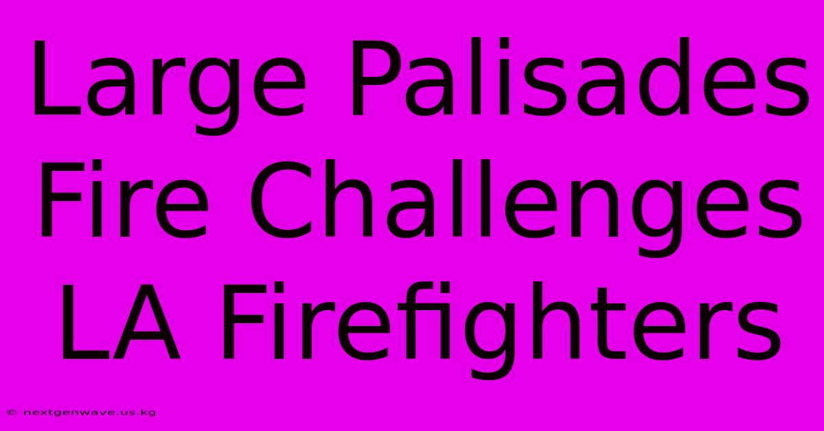 Large Palisades Fire Challenges LA Firefighters