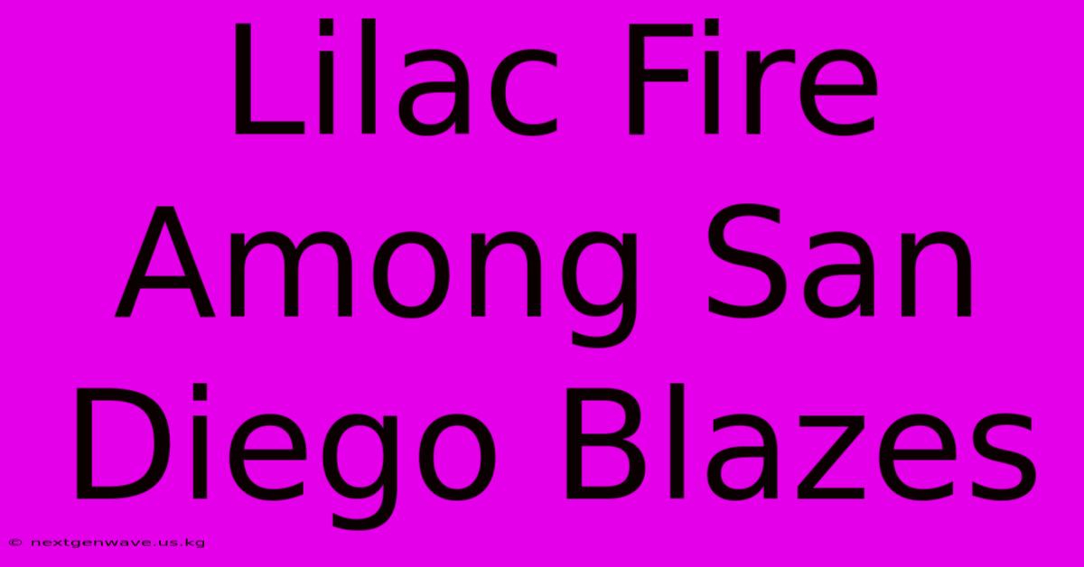 Lilac Fire Among San Diego Blazes