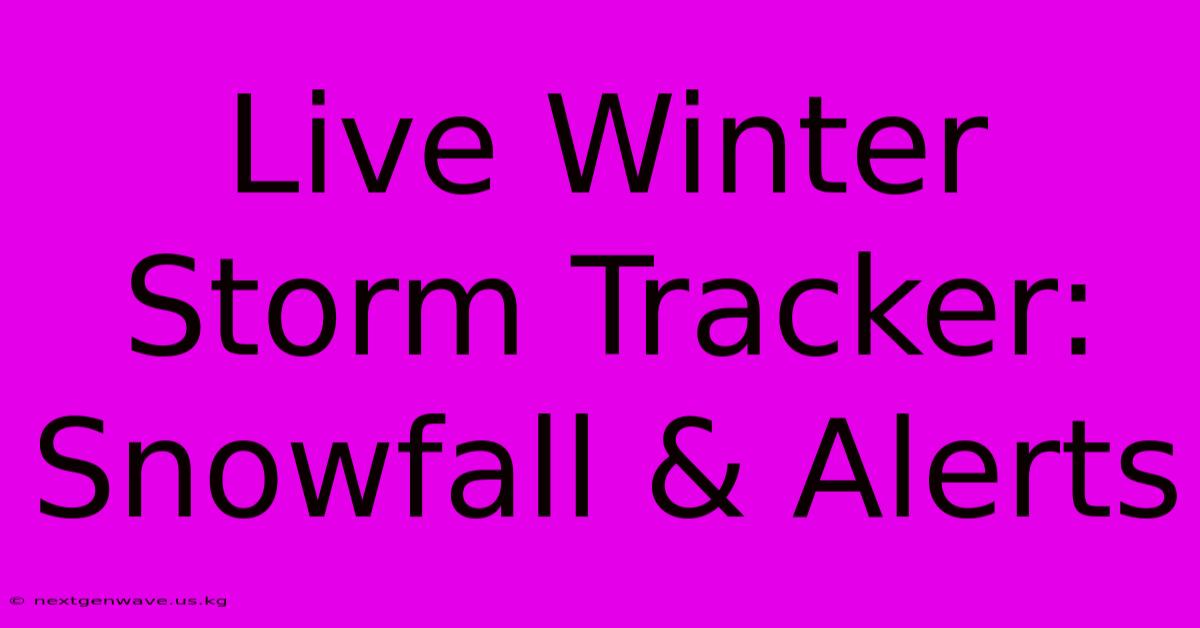 Live Winter Storm Tracker: Snowfall & Alerts