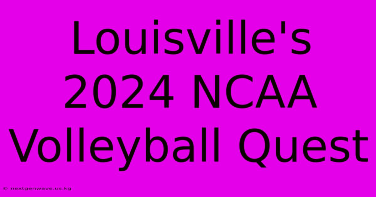 Louisville's 2024 NCAA Volleyball Quest