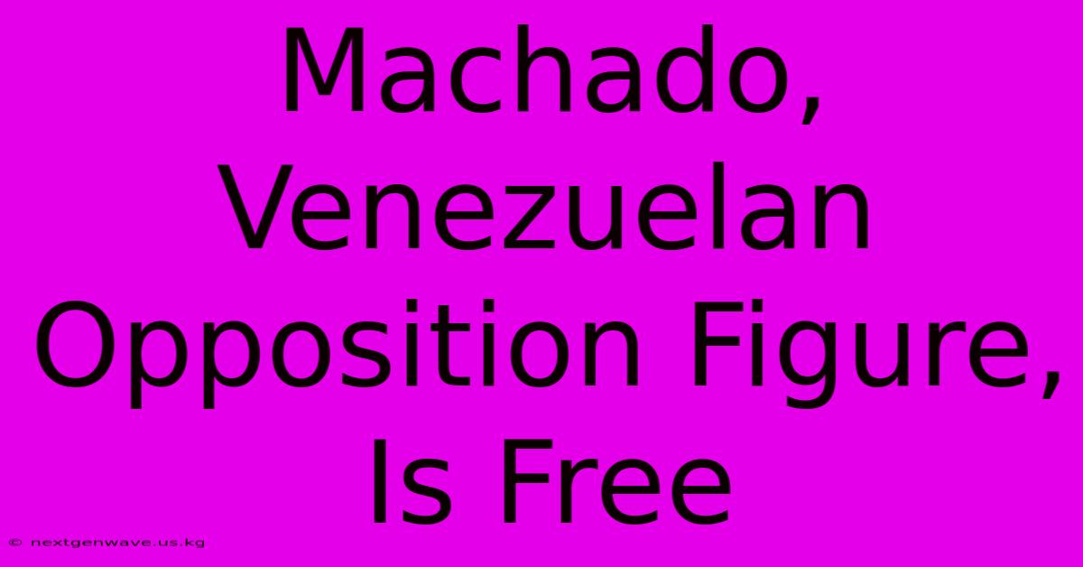 Machado, Venezuelan Opposition Figure, Is Free