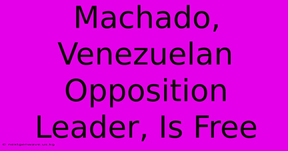 Machado, Venezuelan Opposition Leader, Is Free