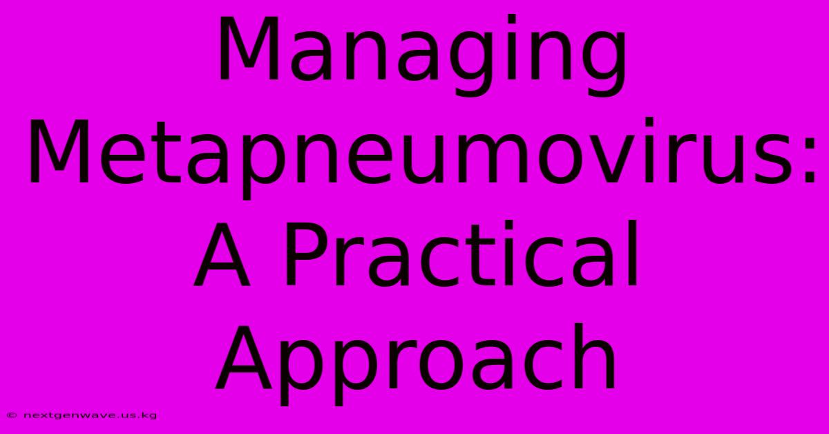 Managing Metapneumovirus: A Practical Approach