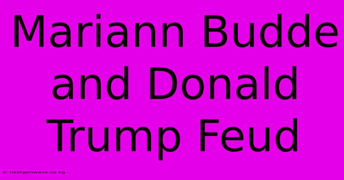 Mariann Budde And Donald Trump Feud