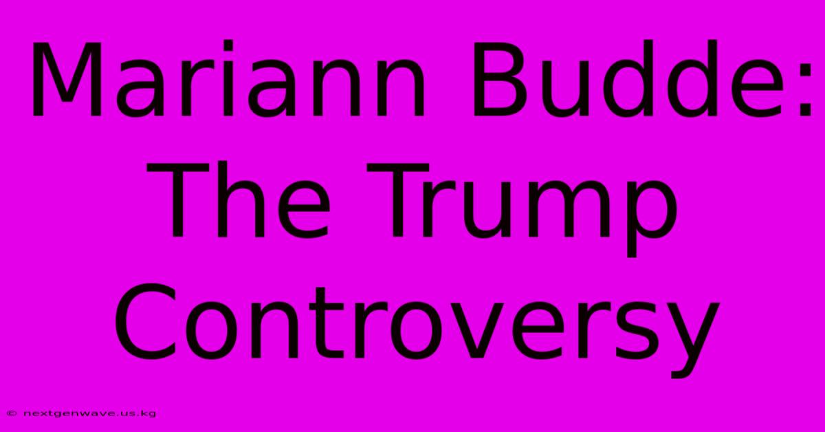 Mariann Budde:  The Trump Controversy