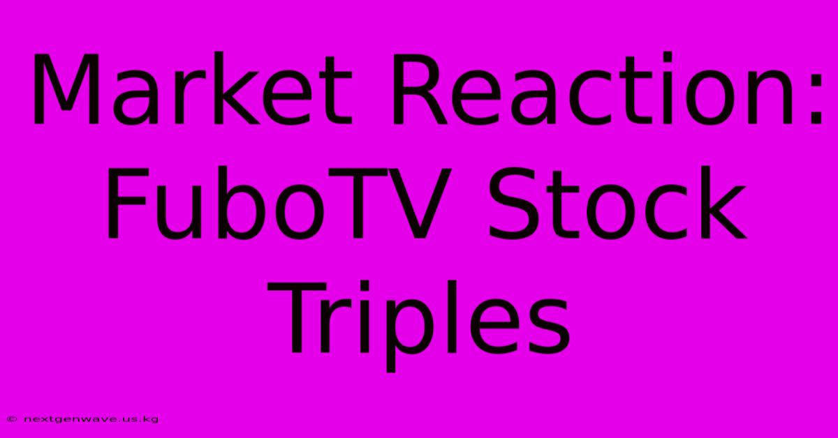 Market Reaction: FuboTV Stock Triples