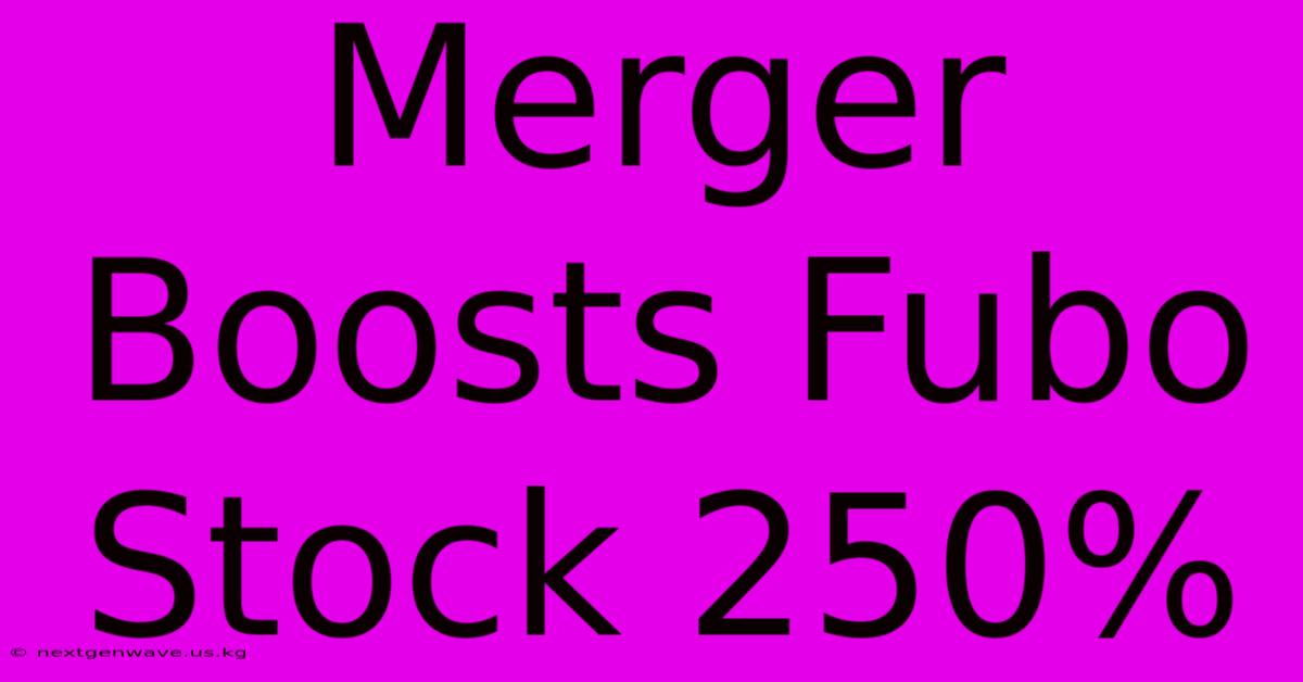 Merger Boosts Fubo Stock 250%