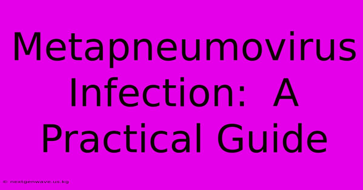 Metapneumovirus Infection:  A Practical Guide