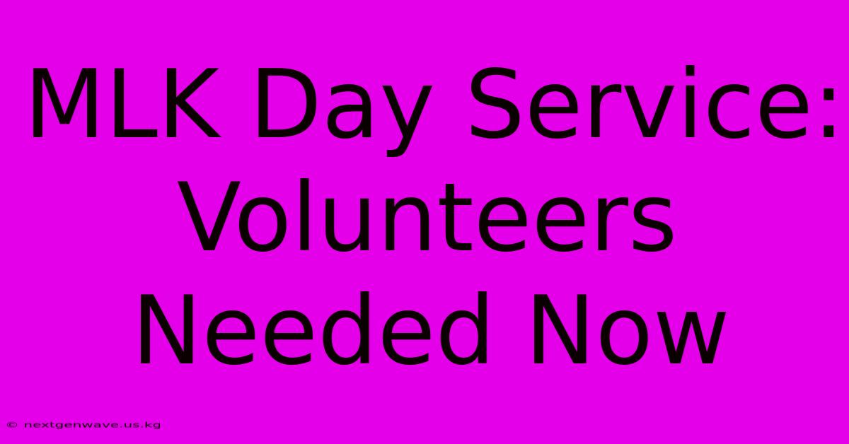 MLK Day Service: Volunteers Needed Now