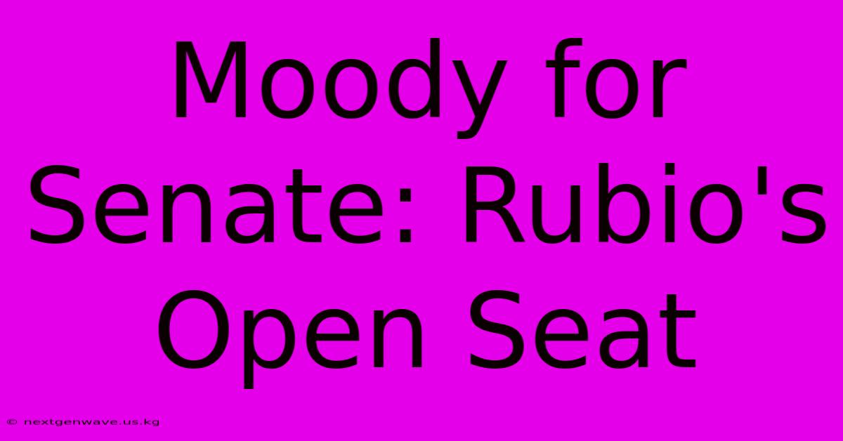 Moody For Senate: Rubio's Open Seat