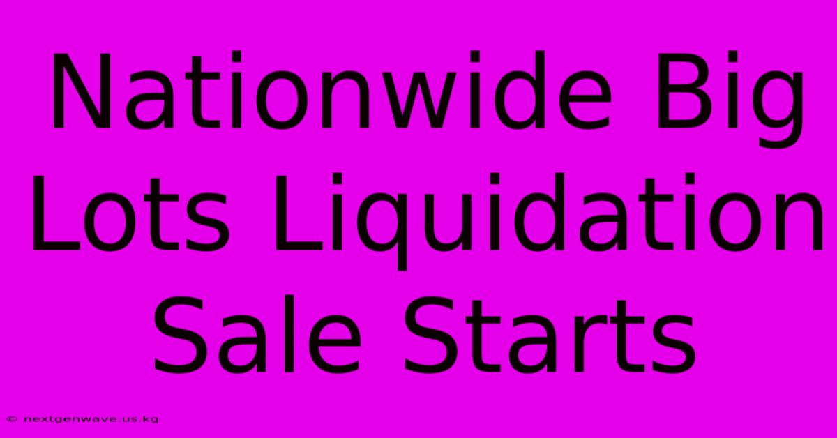 Nationwide Big Lots Liquidation Sale Starts