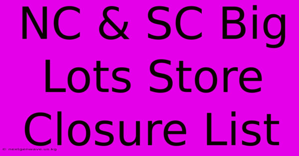 NC & SC Big Lots Store Closure List