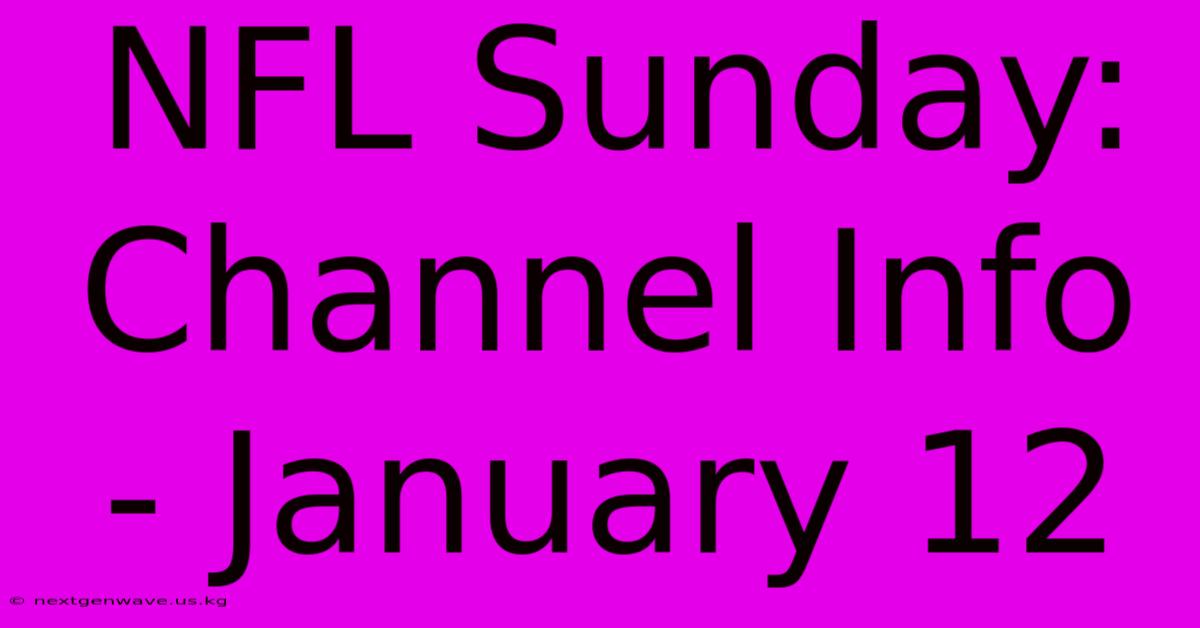 NFL Sunday: Channel Info - January 12