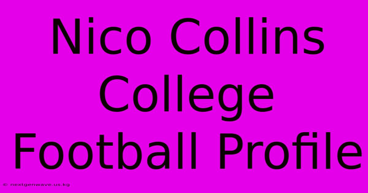 Nico Collins College Football Profile