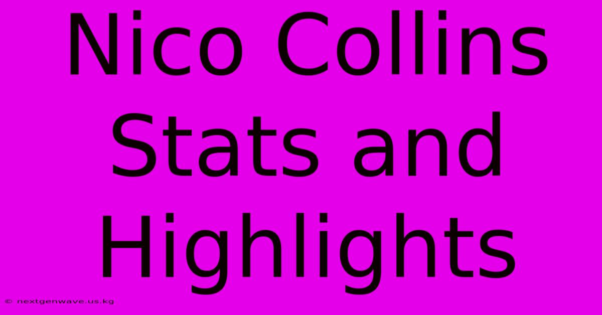 Nico Collins Stats And Highlights