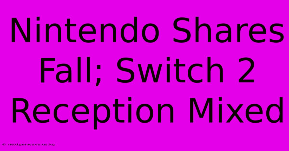 Nintendo Shares Fall; Switch 2 Reception Mixed