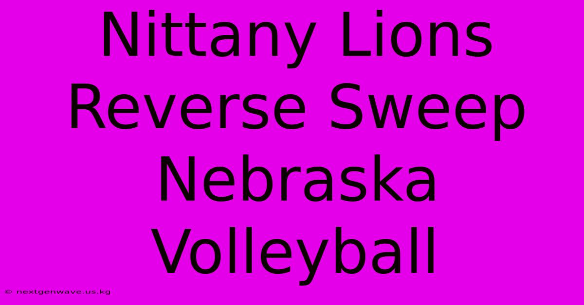 Nittany Lions Reverse Sweep Nebraska Volleyball