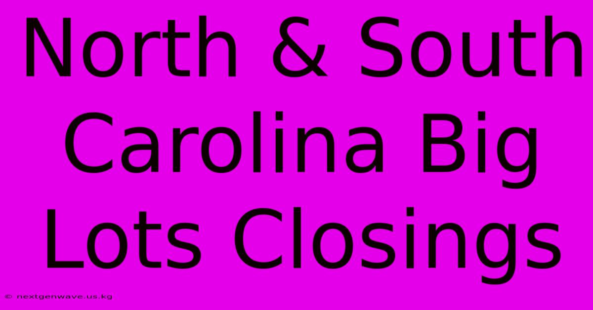 North & South Carolina Big Lots Closings