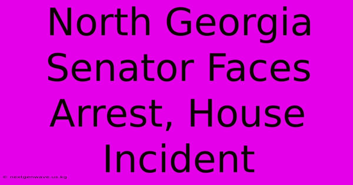 North Georgia Senator Faces Arrest, House Incident