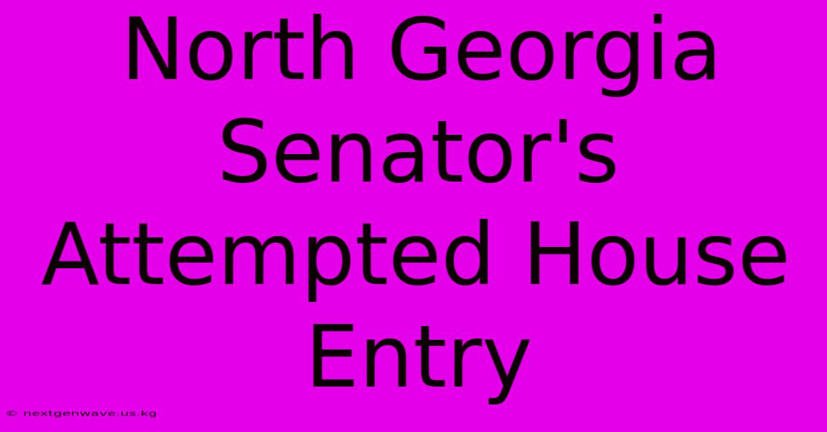 North Georgia Senator's Attempted House Entry