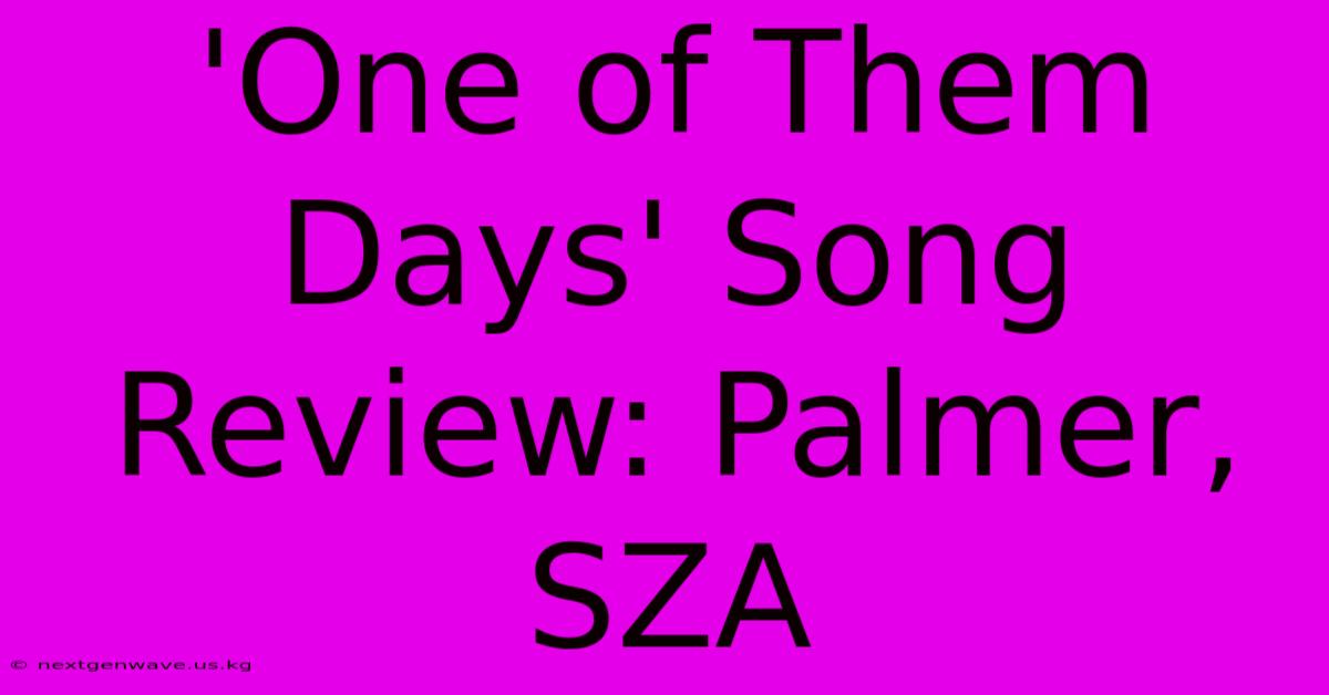 'One Of Them Days' Song Review: Palmer, SZA