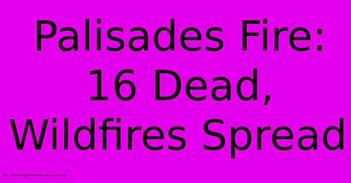 Palisades Fire: 16 Dead, Wildfires Spread