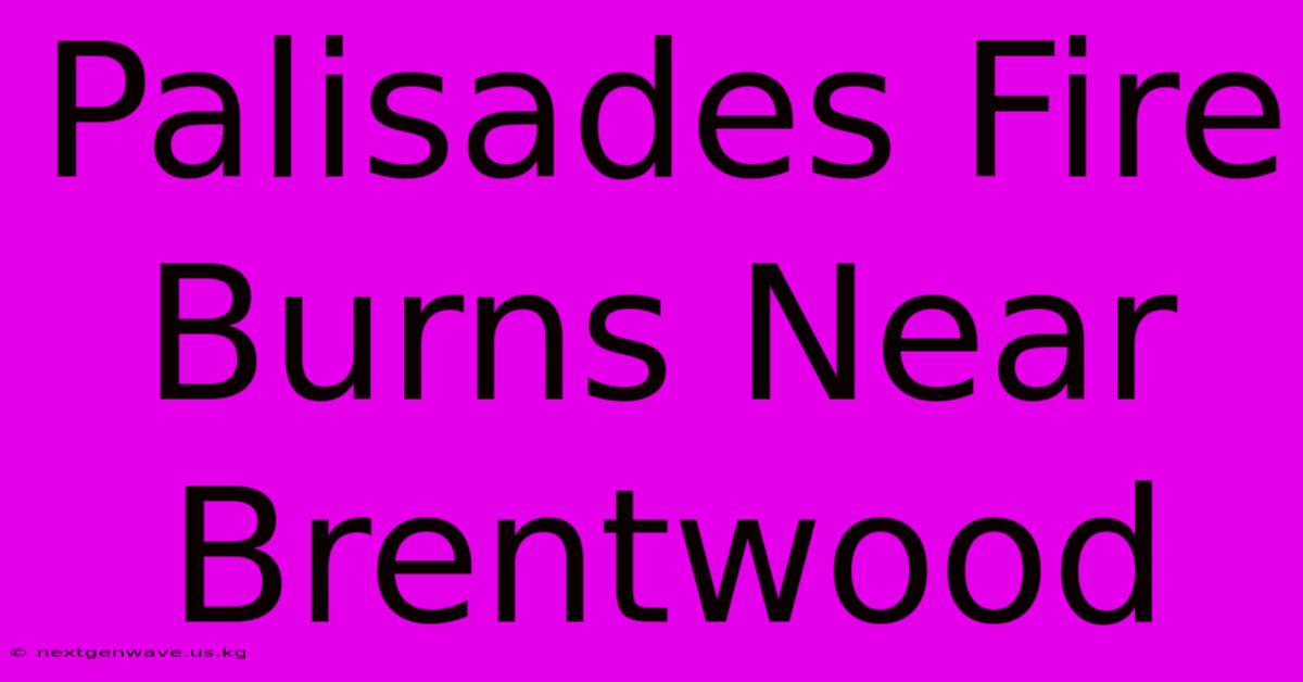 Palisades Fire Burns Near Brentwood